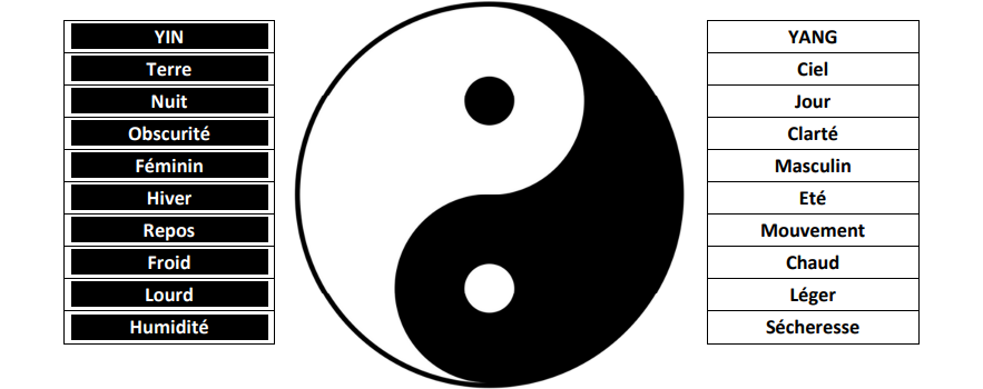 Symbole Yin Yang et descriptif